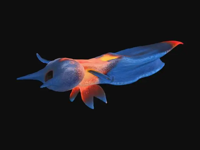 3D model for Ethereal Sea Butterfly