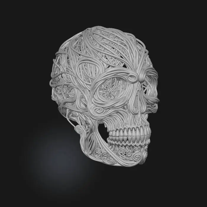 3D model for Tangled Skull