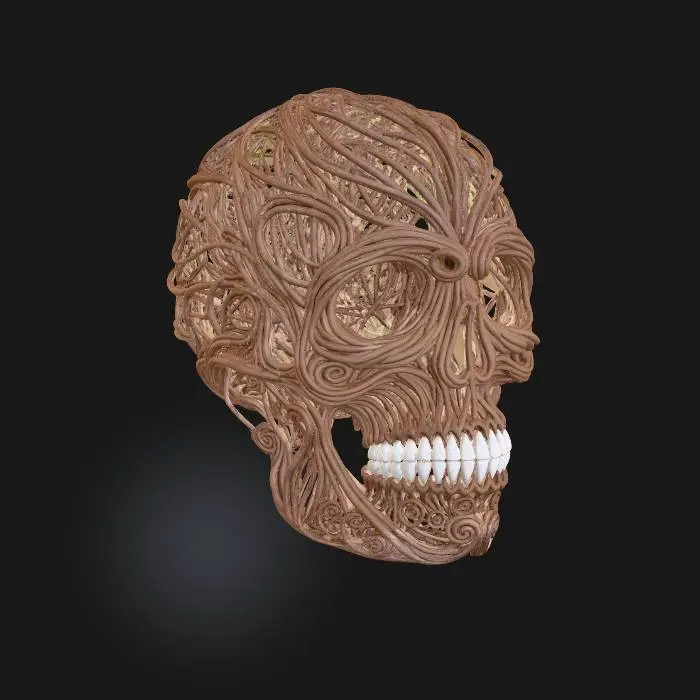 3D model for Tangled Skull