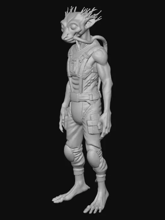 3D model for Mar's poor man left behind