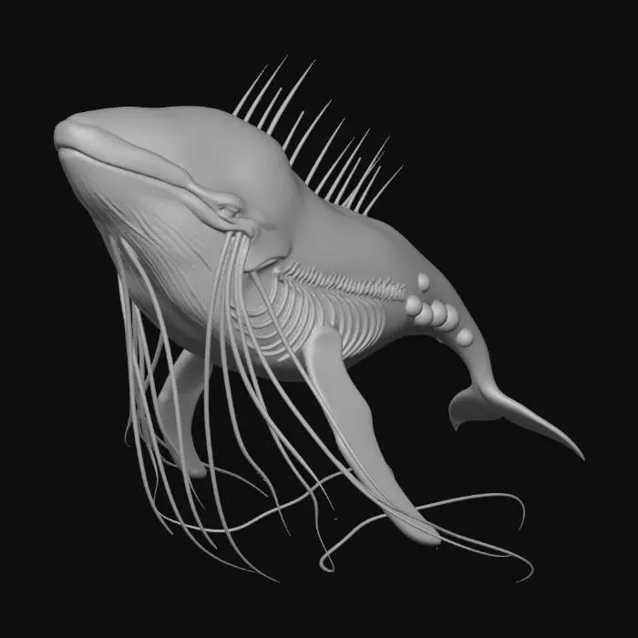 3D model for Jellyfish whale