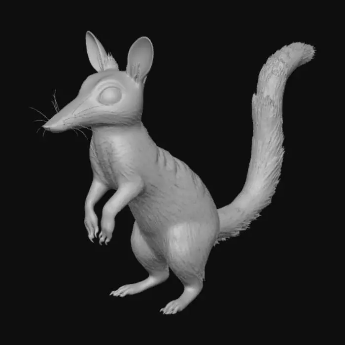 3D model for Ferrabkat = ferret rabbit meerkat corti long nose