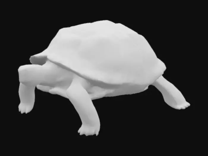 3D model for SCP-4398 is a tortoise of unknown age resembling a young Chelonoidis nigra (Galápagos tortoise).