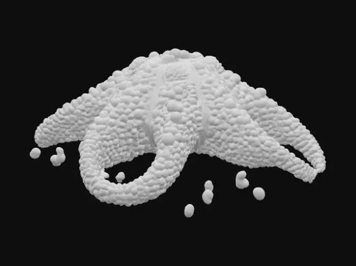 3D model for Card Title: Brushed By The Starfish

Description: The Cosmic Starfish brushes against you with one of its Five arms. You are empowered!