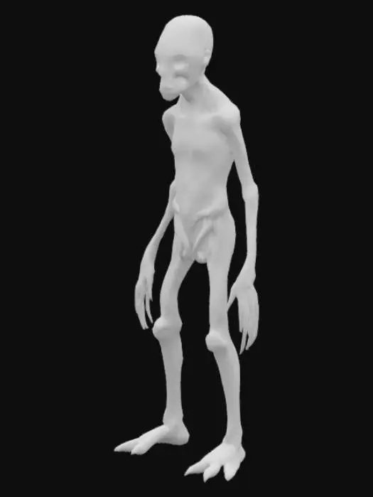3D model for SCP-1897 are humanoids that manifest outside of rural areas in the states of New Mexico, Arizona, Texas, Oklahoma, Utah, and Nevada. Pictures taken of SCP-1897 and testimony from witnesses place these creatures at over five meters tall. 
