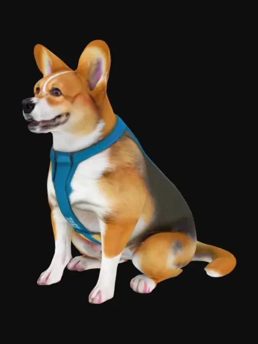 3D model for Card Title: L O N G C O R G
Subtitle: Stretch Doggo
Type: Anomaly, Sentient, Animal
Description: An immensely long corgi. Used for public transportation. A very good boy.
