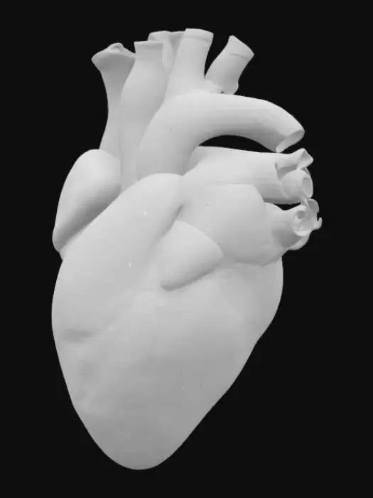 3D model for Card Title: Wretched Bovine Heart
Subtitle: Beating In The Darkness
Type: Anomaly, Sentient, Biological
Description: A demon possessed by speed incarnate. Horrifying and unrelenting. All entities nearby lose -2 to DEF against psychological threats.