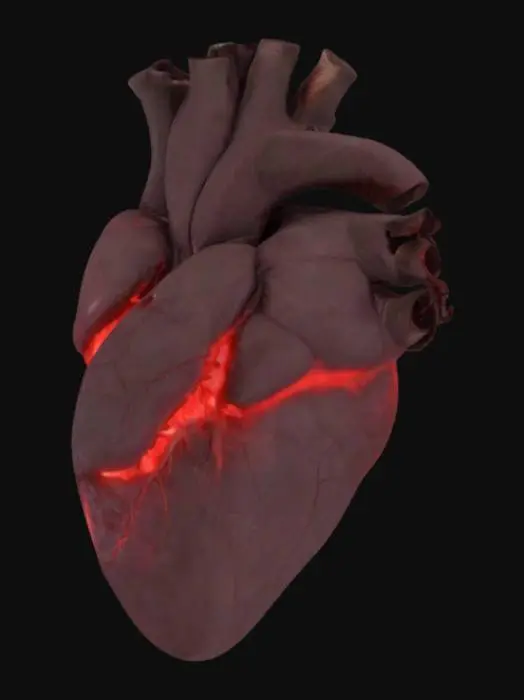 3D model for Card Title: Wretched Bovine Heart
Subtitle: Beating In The Darkness
Type: Anomaly, Sentient, Biological
Description: A demon possessed by speed incarnate. Horrifying and unrelenting. All entities nearby lose -2 to DEF against psychological threats.