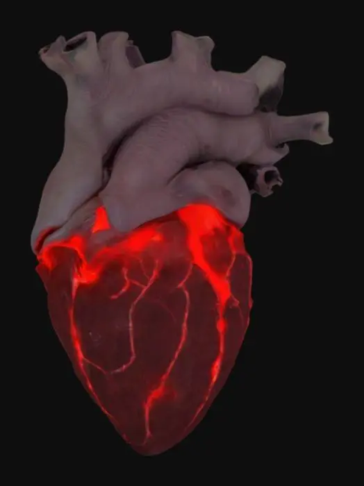 3D model for Card Title: Wretched Bovine Heart
Subtitle: Beating In The Darkness
Type: Anomaly, Sentient, Biological
Description: A demon possessed by speed incarnate. Horrifying and unrelenting. All entities nearby lose -2 to DEF against psychological threats.