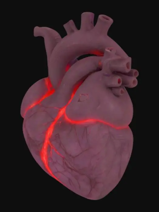 3D model for Card Title: Wretched Bovine Heart
Subtitle: Beating In The Darkness
Type: Anomaly, Sentient, Biological
Description: A demon possessed by speed incarnate. Horrifying and unrelenting. All entities nearby lose -2 to DEF against psychological threats.