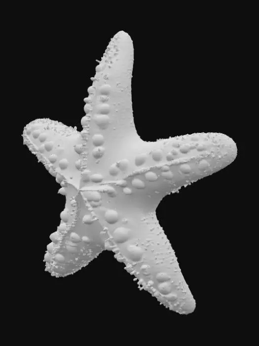 3D model for Card Title: Brushed By The Starfish

Description: The Cosmic Starfish brushes against you with one of its Five arms. You are empowered!