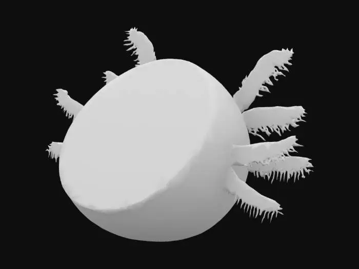 3D model for Pink axolotl melon fruit