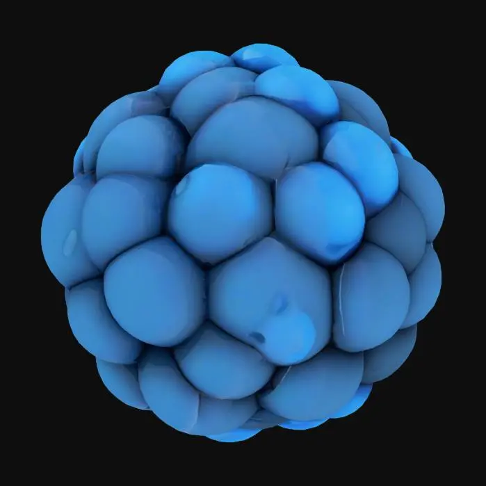3D model for Blueberry Dream fruit
