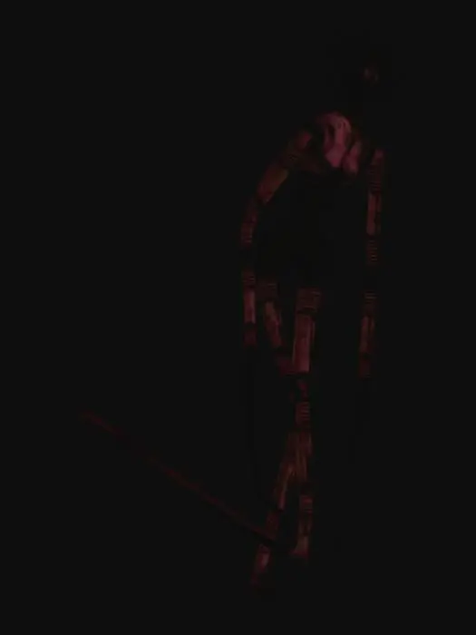 3D model for the locust