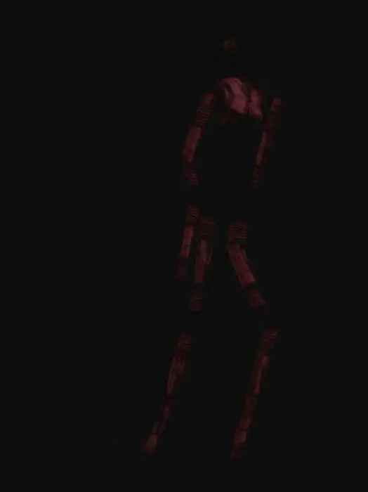 3D model for the locust