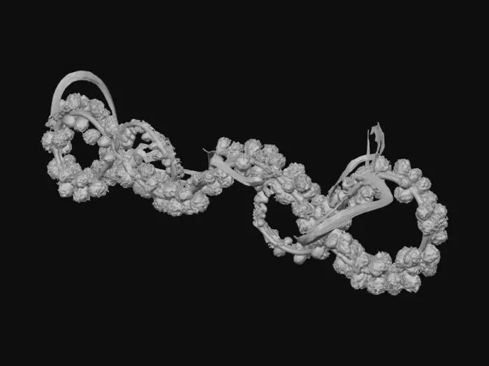 3D model for свернутая рождественская герлянда