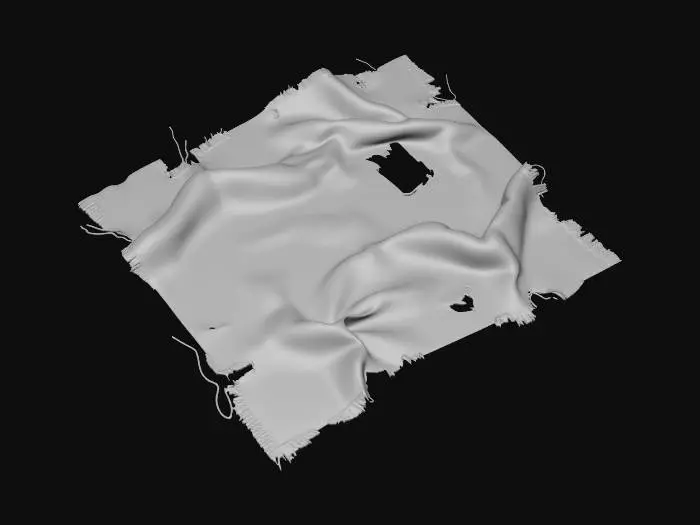 3D model for клочок окроавленной ткани