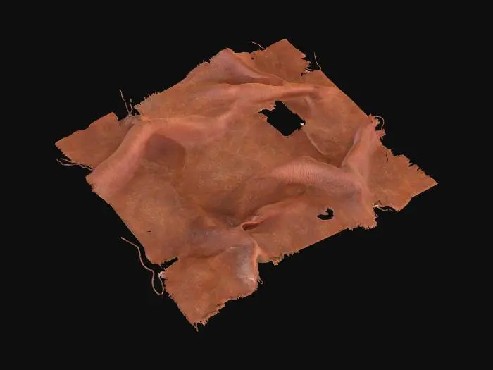 3D model for клочок окроавленной ткани