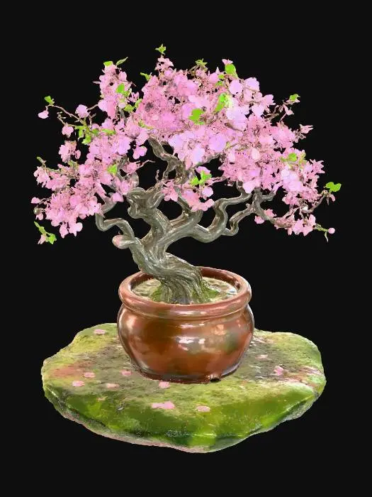 3D model for small sakura tree in a blosson, in a pot 
spring mood and blossom athmosphere with magic
