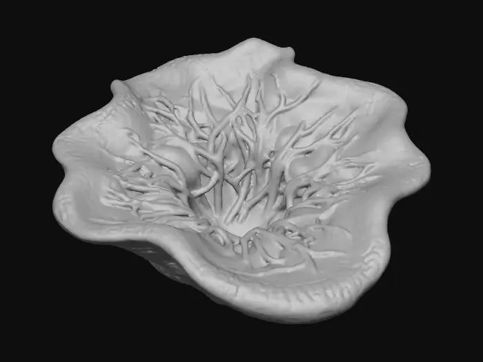 3D model for wide open fleshly fissure textured with asemic script writing