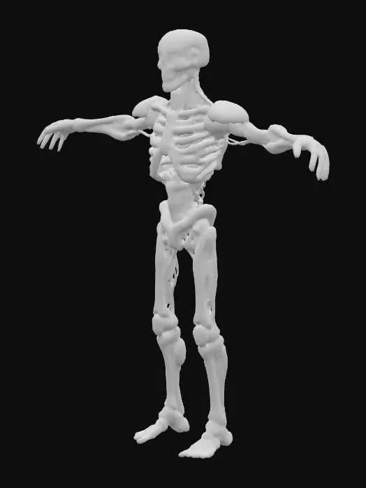 3D model for Ember Skeleton