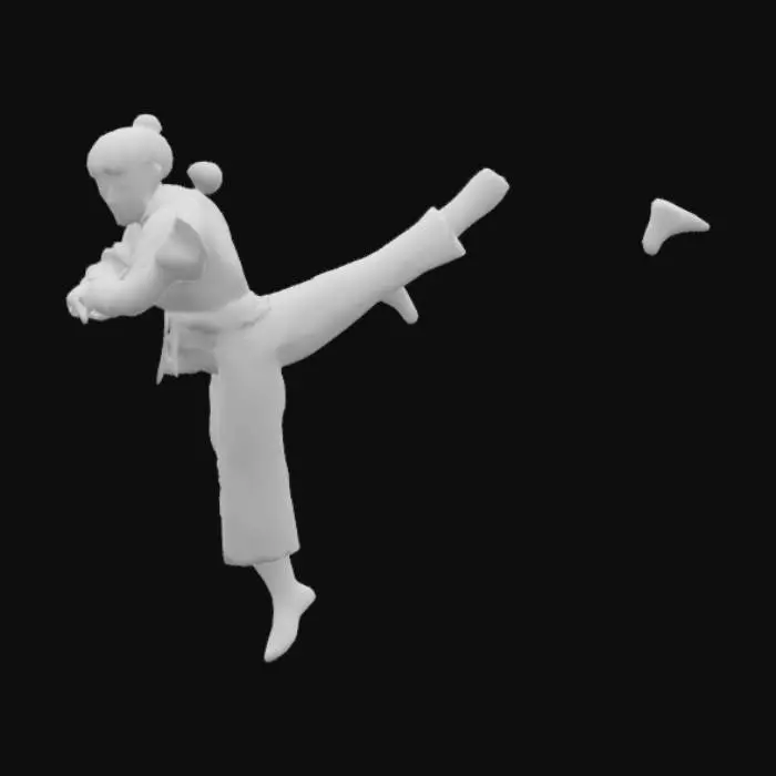 3D model for #AroundTheWorld# South Korean Taekwondo Master