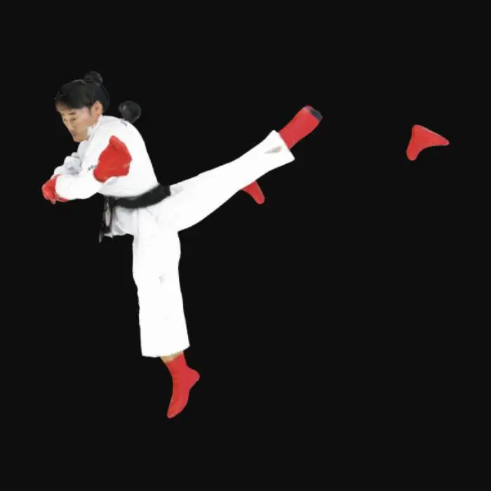 3D model for #AroundTheWorld# South Korean Taekwondo Master
