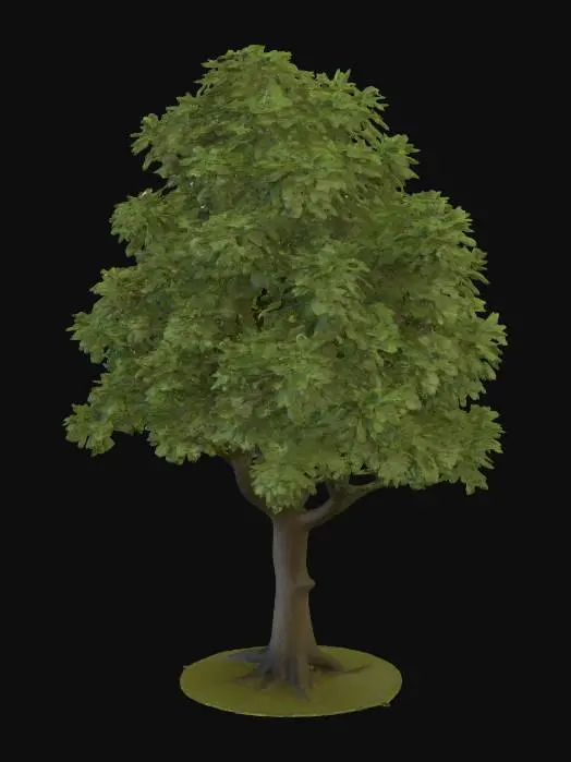 3D model for semi realistic oak tree