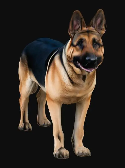 3D model for A normal size healthy german shepherd dog
