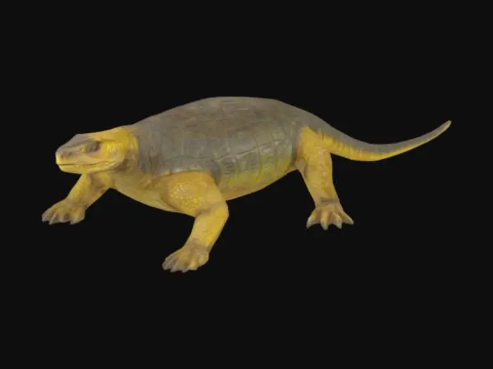 3D model for Scutosaurus Stroll