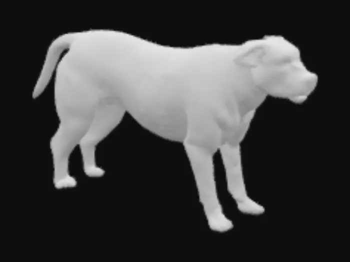 3D model for Watchful Companion