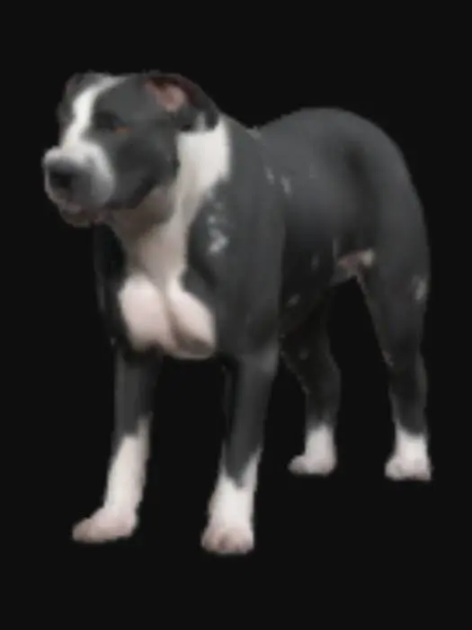 3D model for Watchful Companion