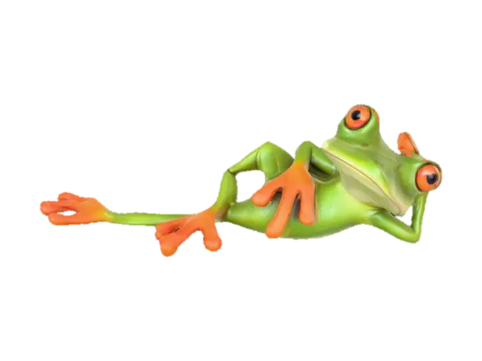 Relaxing Frog 由 sharireed61 创建 — 使用 Meshy AI 3D 生成器制作,免费下载 FBX OBJ GLB STL