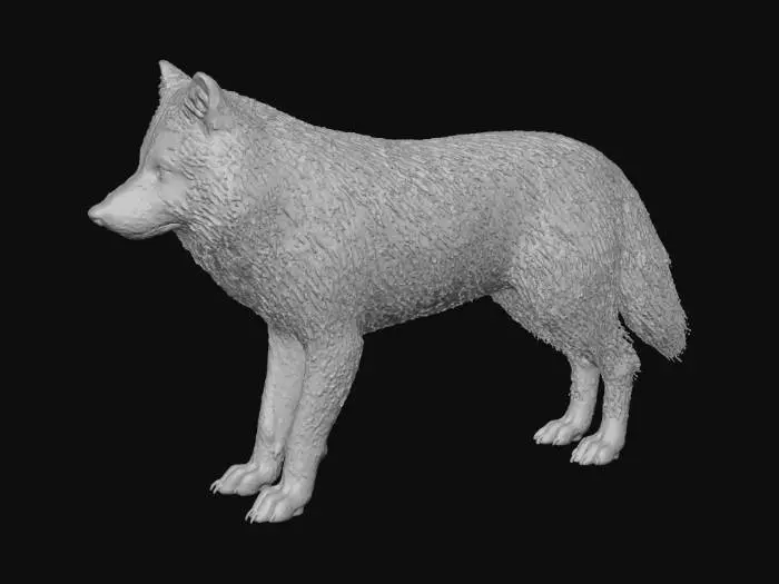 3D model for White Majesty