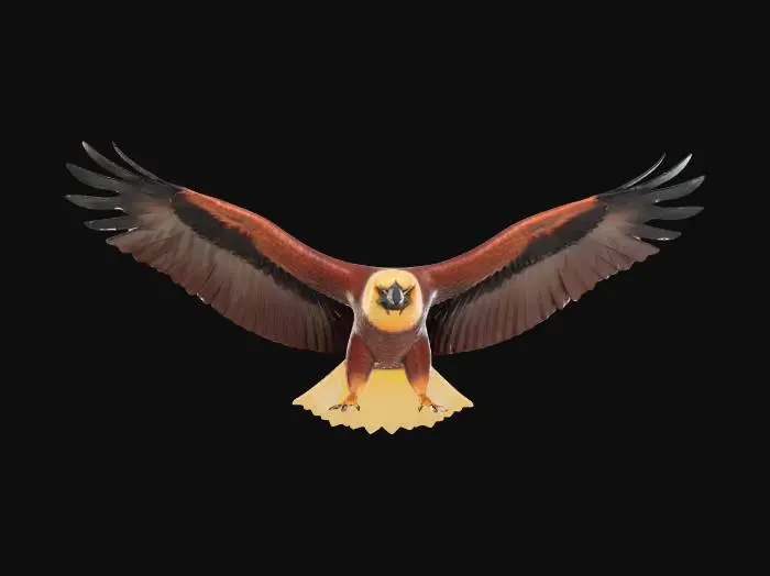 3D model for a flying eagle with high quality life like details and a flat smooth back design
