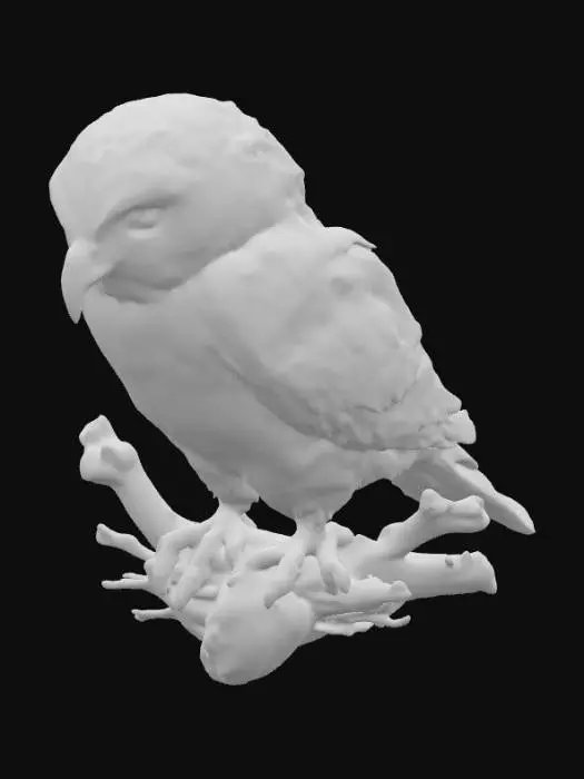 3D model for Watchful pray