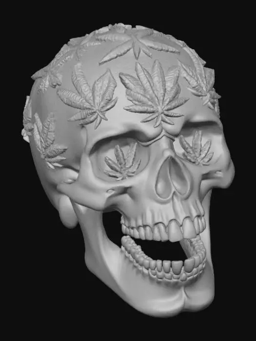 3D model for high-quality high detail skull with cannabis leaf's carved out all over the skull with cannabis leaf eye sockets and mouth an ash tray with white background.