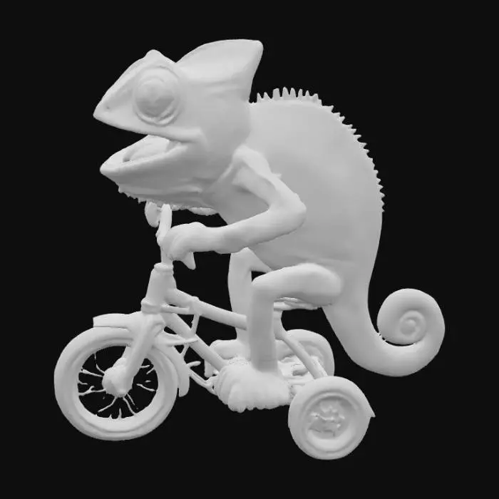 3D model for Chameleon Rider