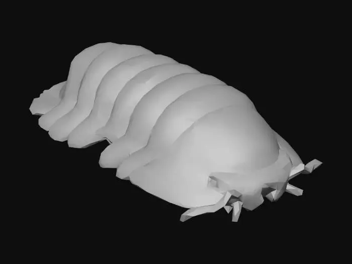 3D model for Rubber Ducky Isopod