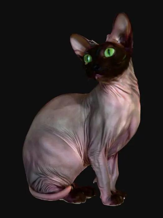 3D model for Sphinx Serenity