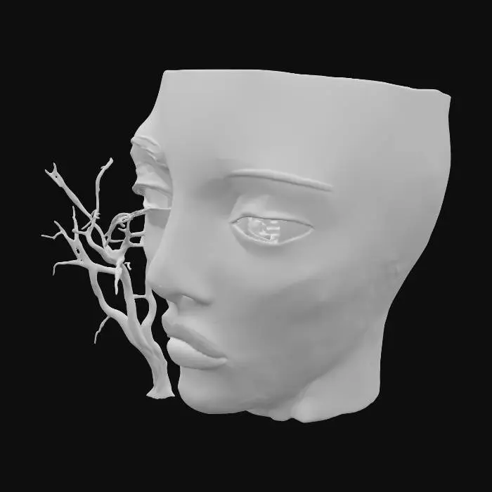 3D model for Desert Gaze