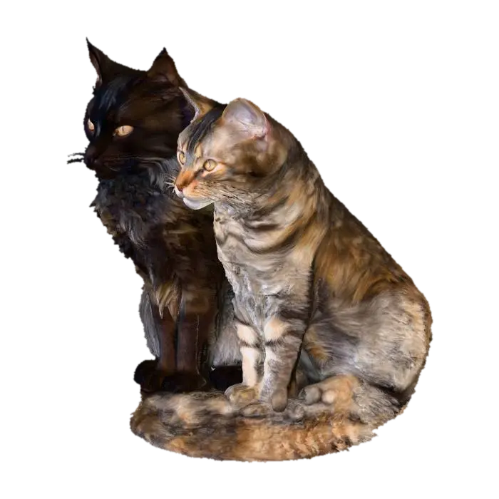 Feline Friends - Mainecoon 3D model, vytvořený pomocí AI
