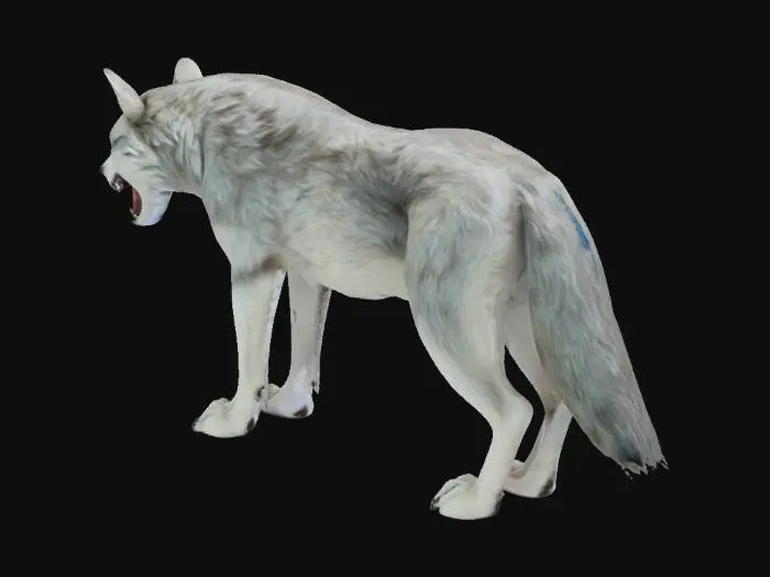 3D model for Wilder blauäugiger wolf/majestätisch/wittert gefahr/Kopf gesenkt/ Zähne flätschen/Schwanz buschig gestreckt/prächtiges Fell/große scharfe Zähne/Narbe übers rechte auge 