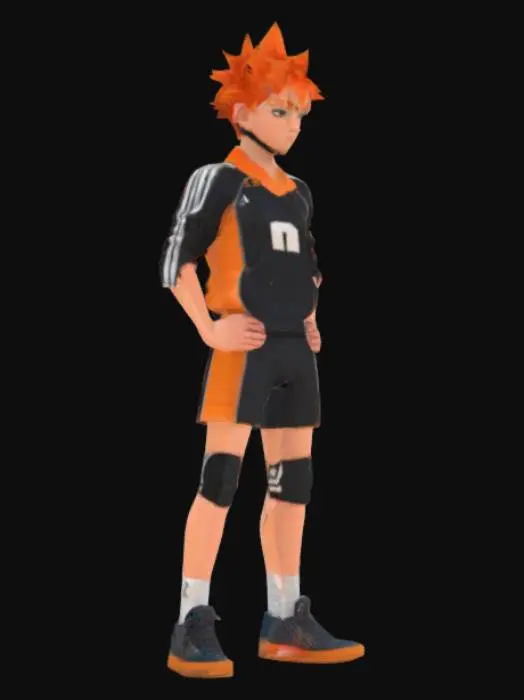 3D model for Volleyball Determination