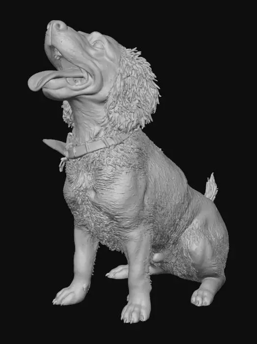 3D model for köpke dil