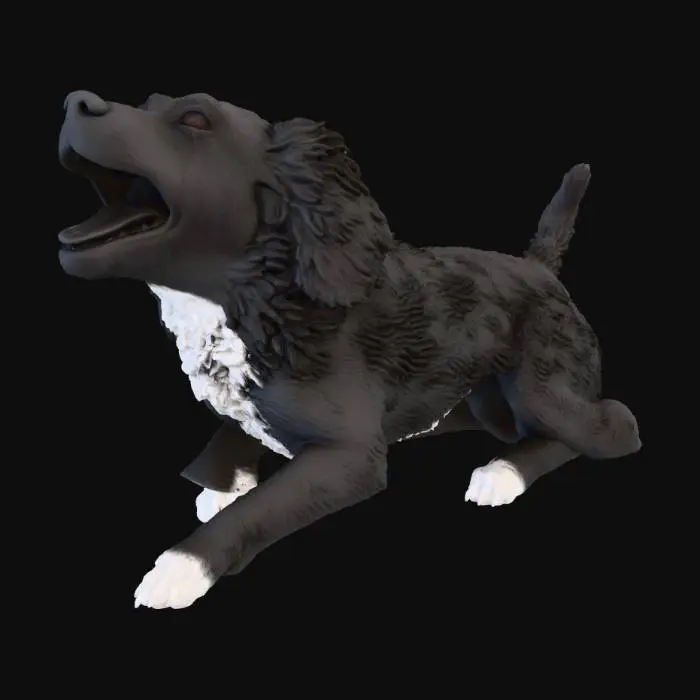3D model for Joyful Paws new
