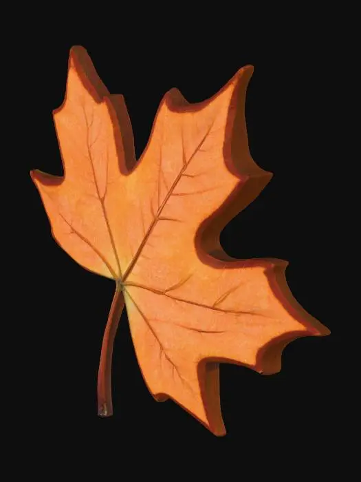 3D model for sterre_los_0006_Layer-7.png