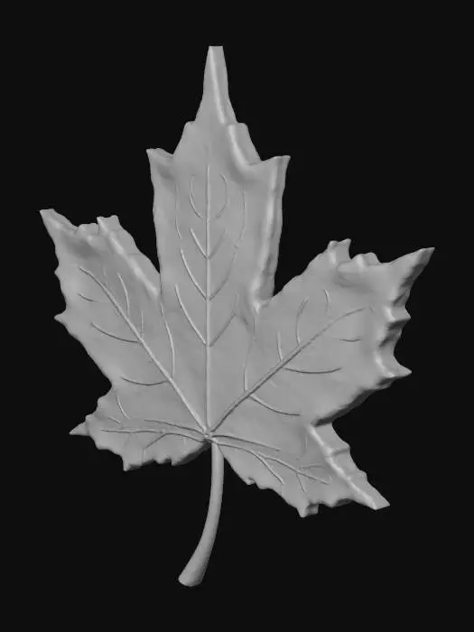 3D model for sterre_los_0005_Layer-6.png