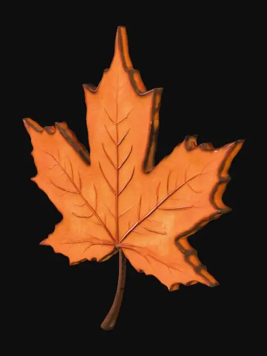 3D model for sterre_los_0005_Layer-6.png