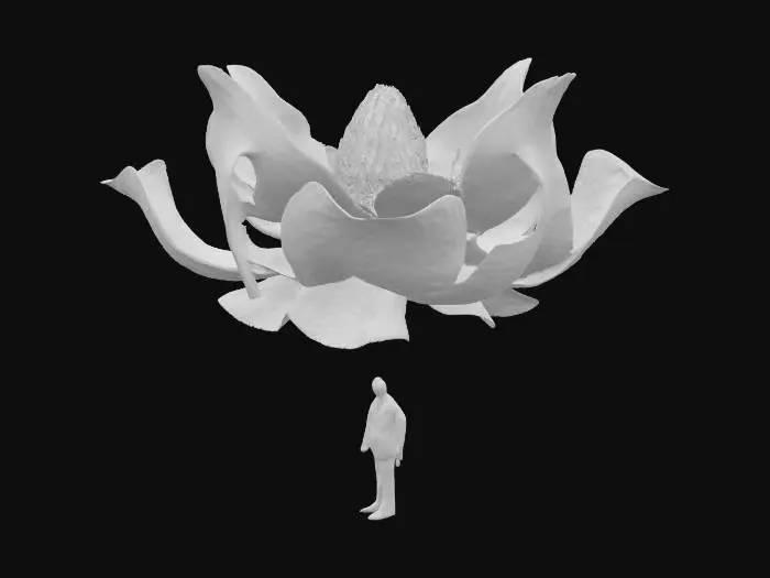 3D model for Awestruck Beneath a Giant Blossom